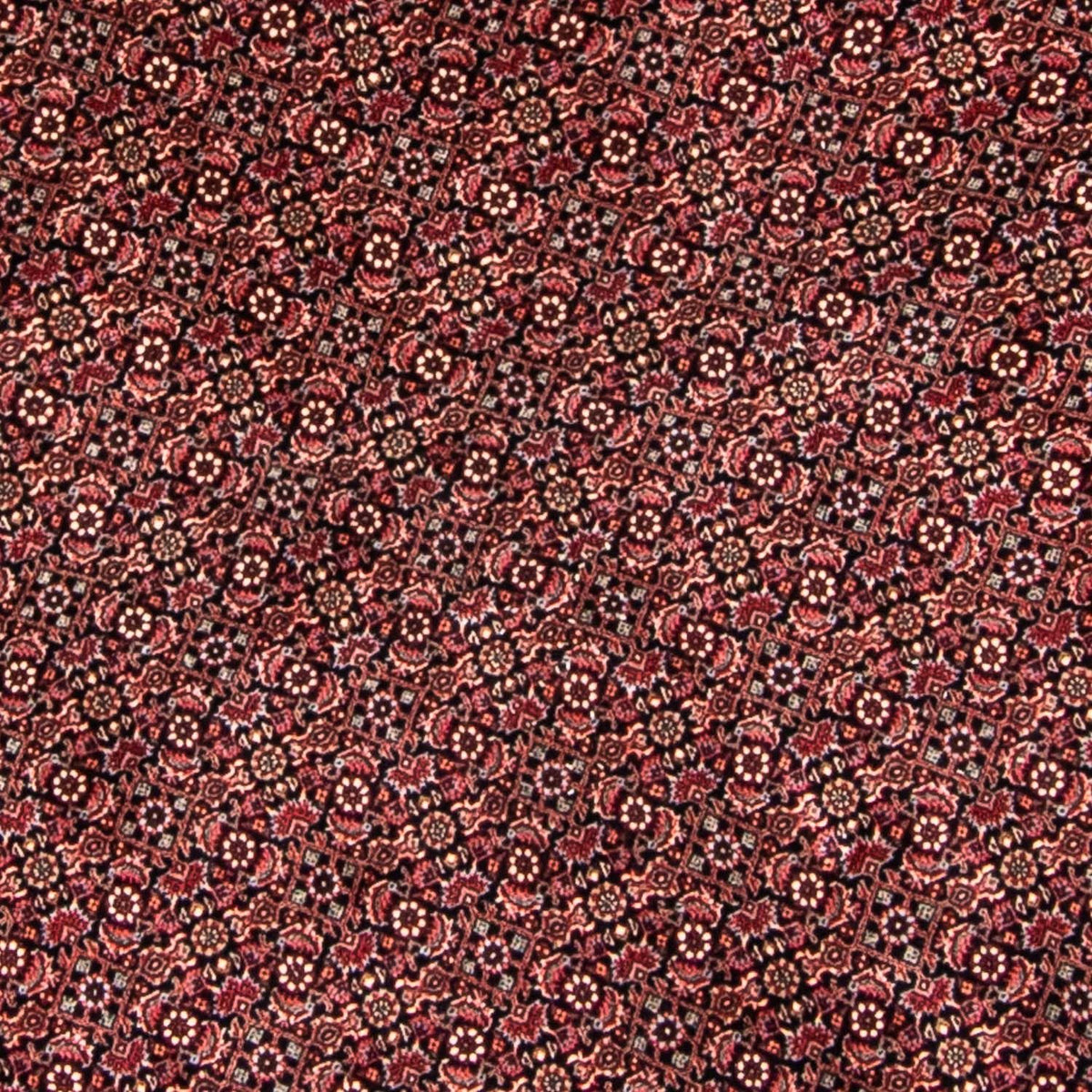 Alfombra persa - Bidjar redondo  - 250 x 250 cm - rojo