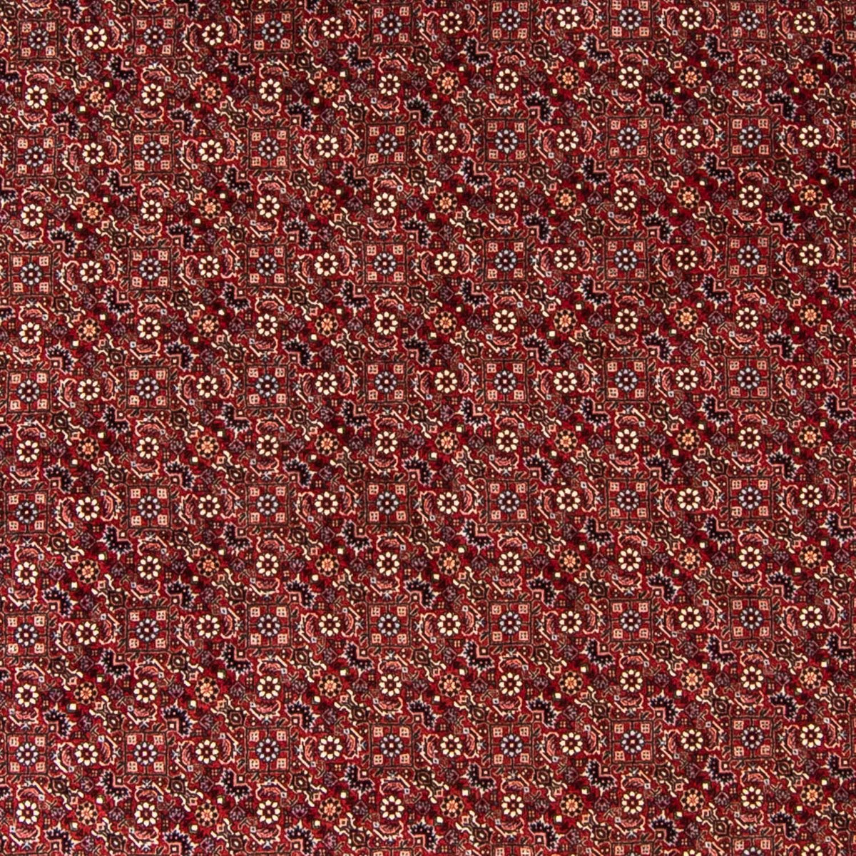 Alfombra persa - Bidjar redondo  - 250 x 250 cm - rojo oscuro