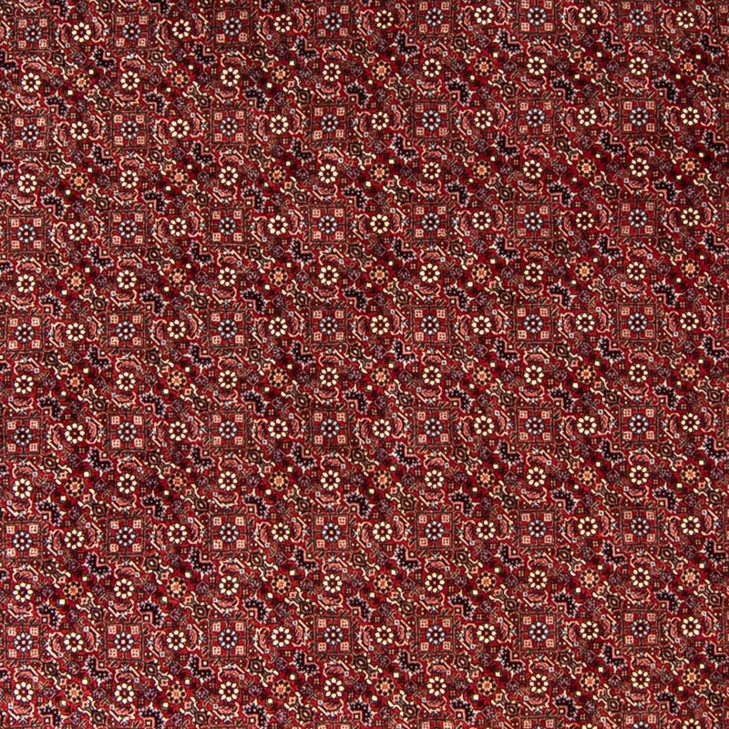 Alfombra persa - Bidjar redondo  - 250 x 250 cm - rojo oscuro