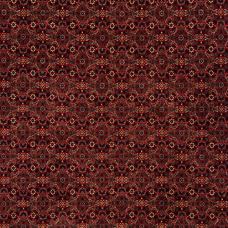 Alfombra persa - Bidjar - 256 x 202 cm - rojo oscuro