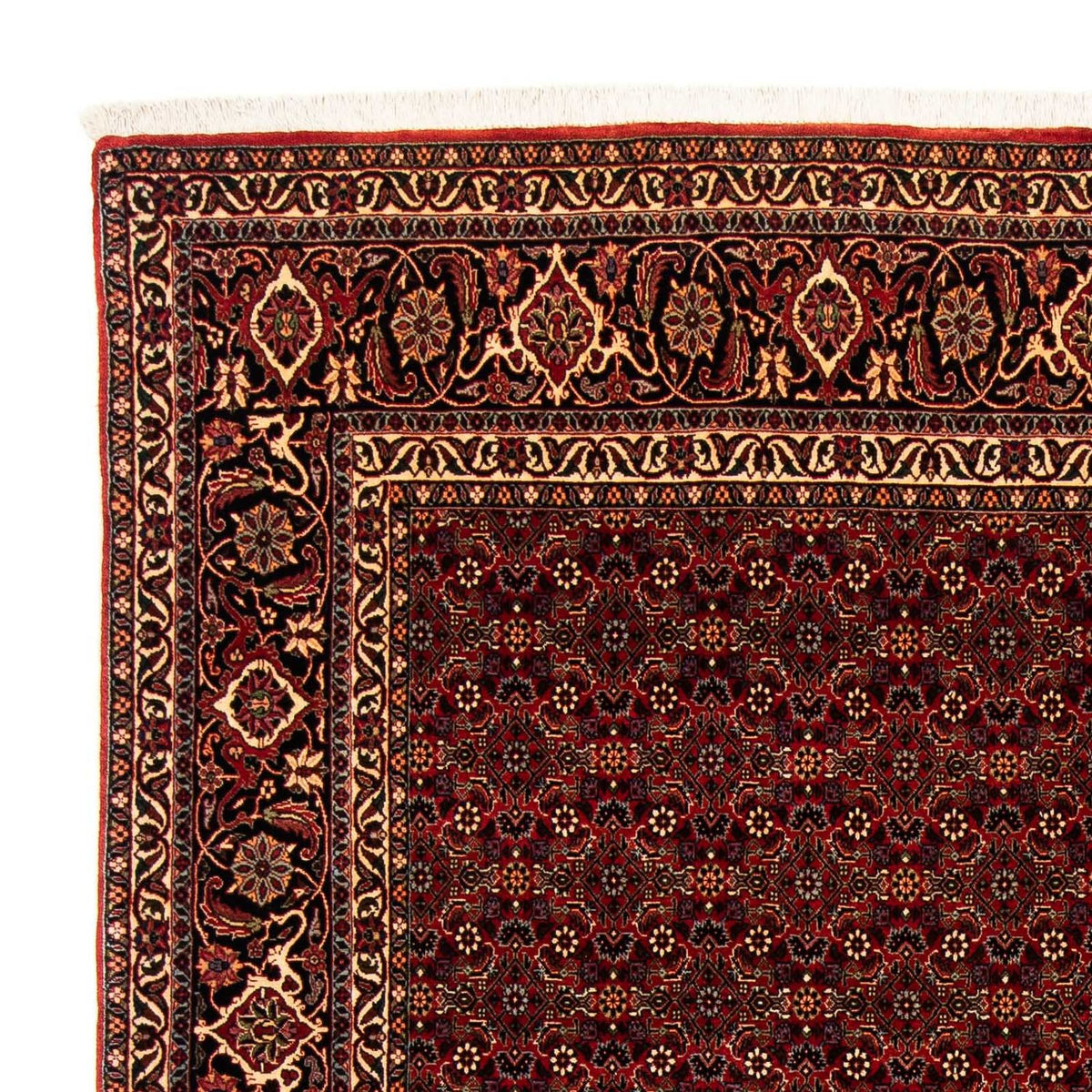 Alfombra persa - Bidjar - 256 x 202 cm - rojo oscuro