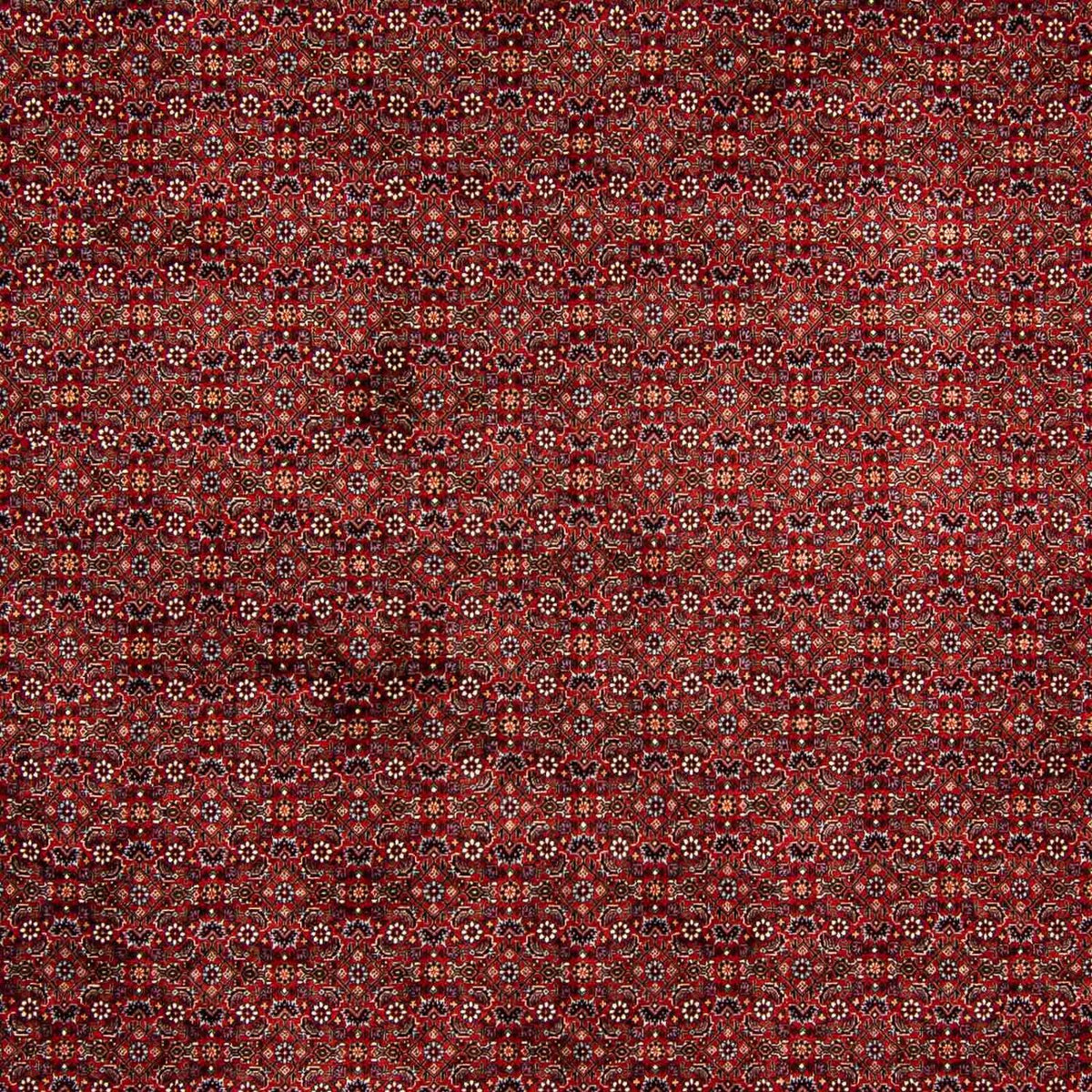Alfombra persa - Bidjar - 392 x 299 cm - rojo oscuro