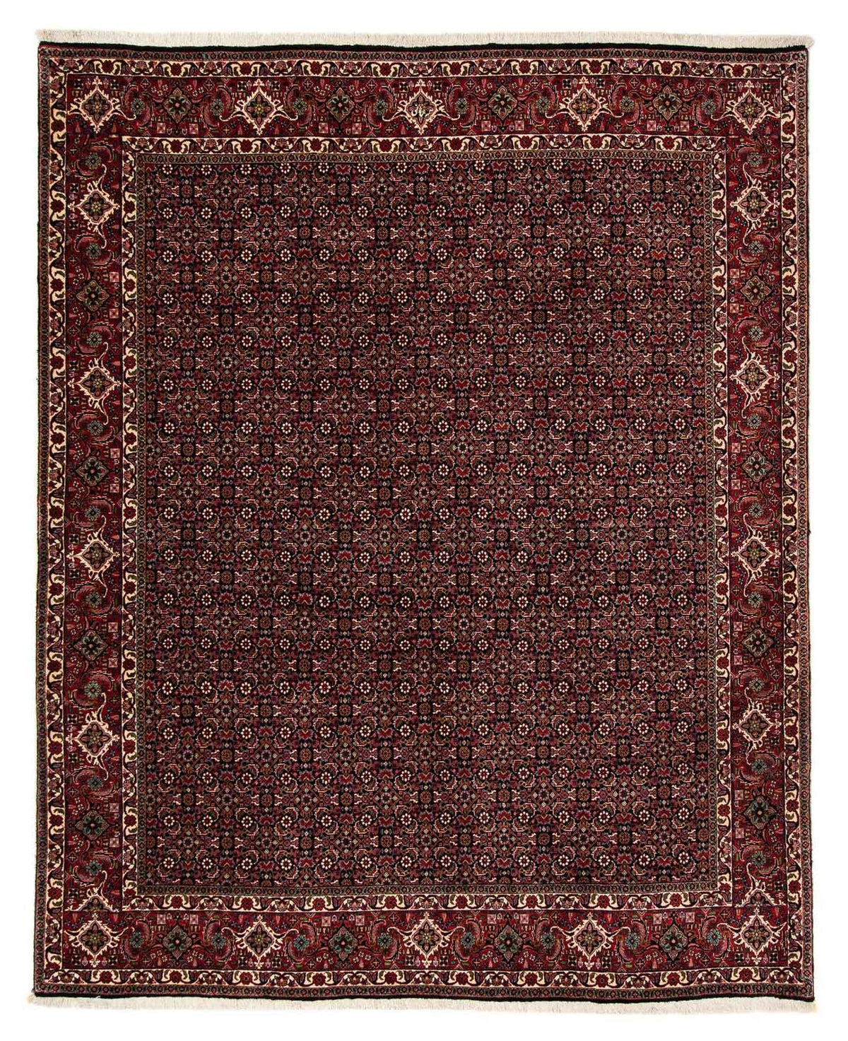 Alfombra persa - Bidjar - 248 x 198 cm - rojo oscuro