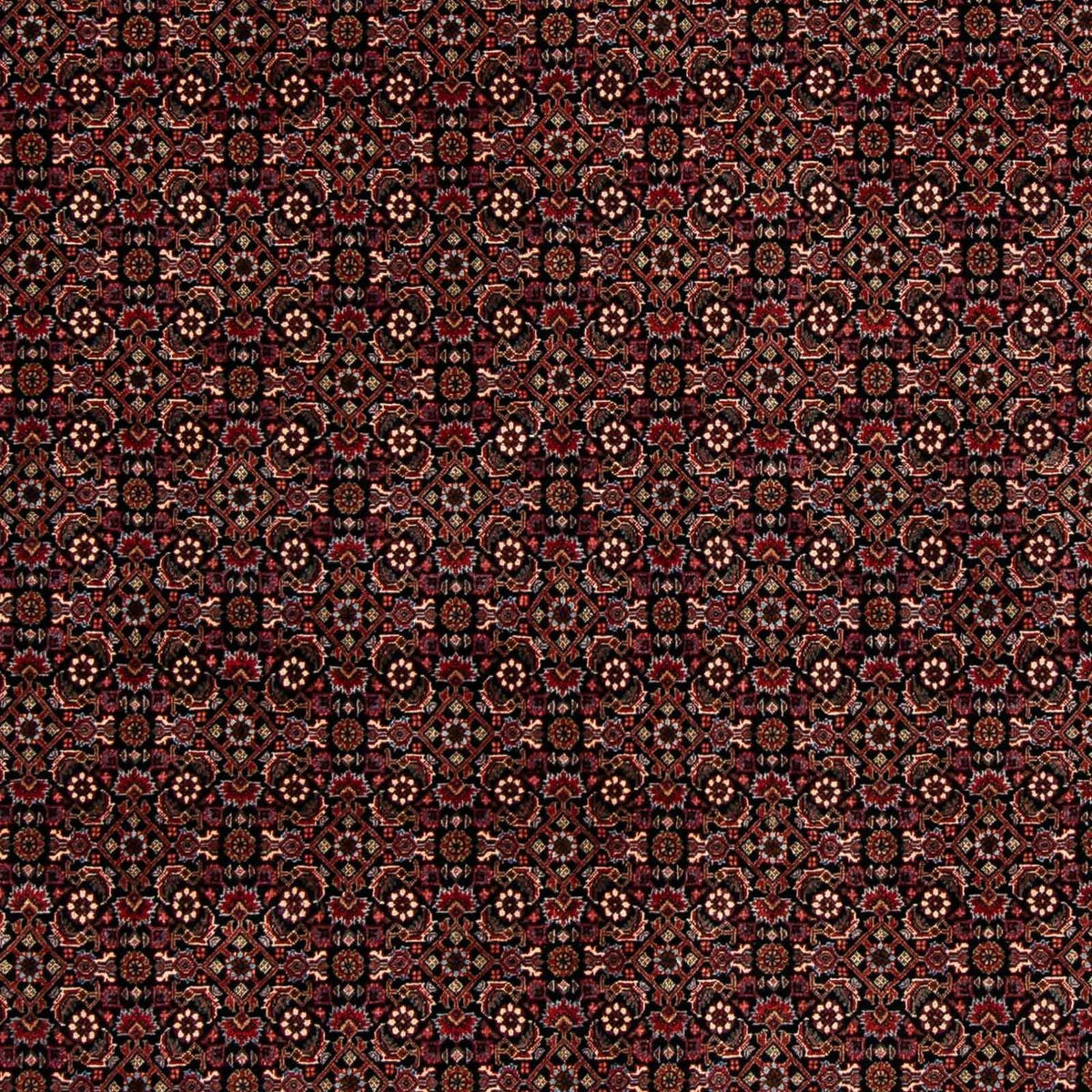 Alfombra persa - Bidjar - 248 x 198 cm - rojo oscuro