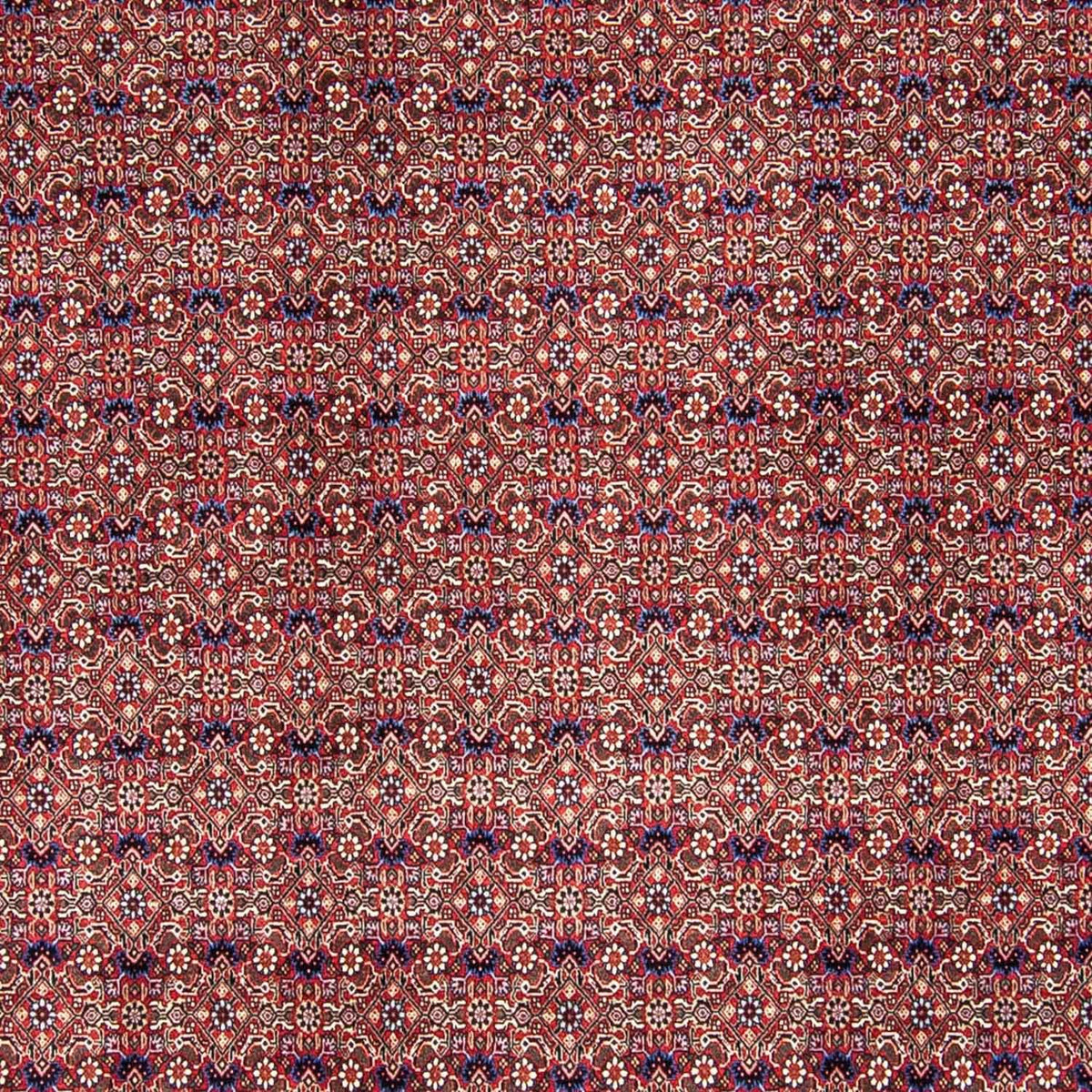 Alfombra persa - Bidjar - 292 x 250 cm - rojo claro