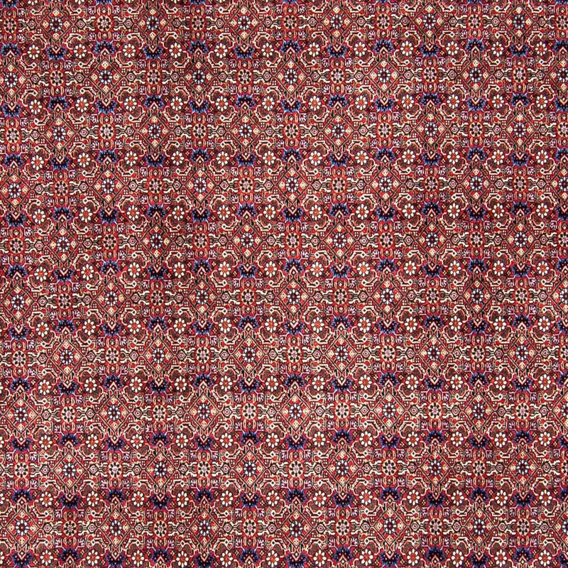 Alfombra persa - Bidjar - 292 x 250 cm - rojo claro