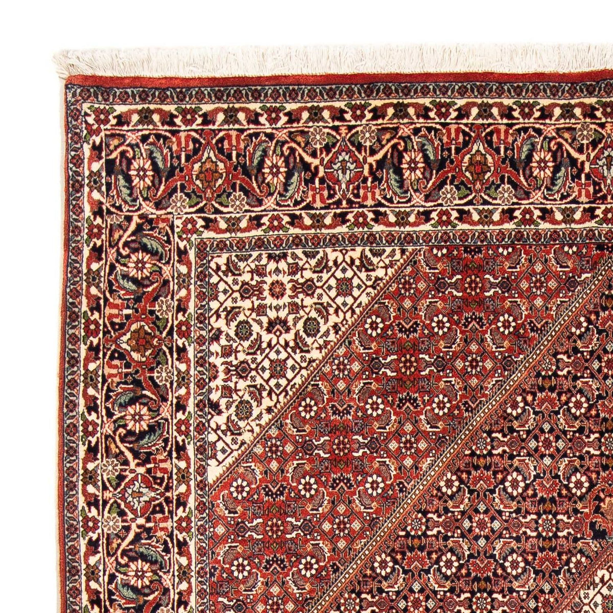 Alfombra persa - Bidjar - 245 x 174 cm - rojo claro