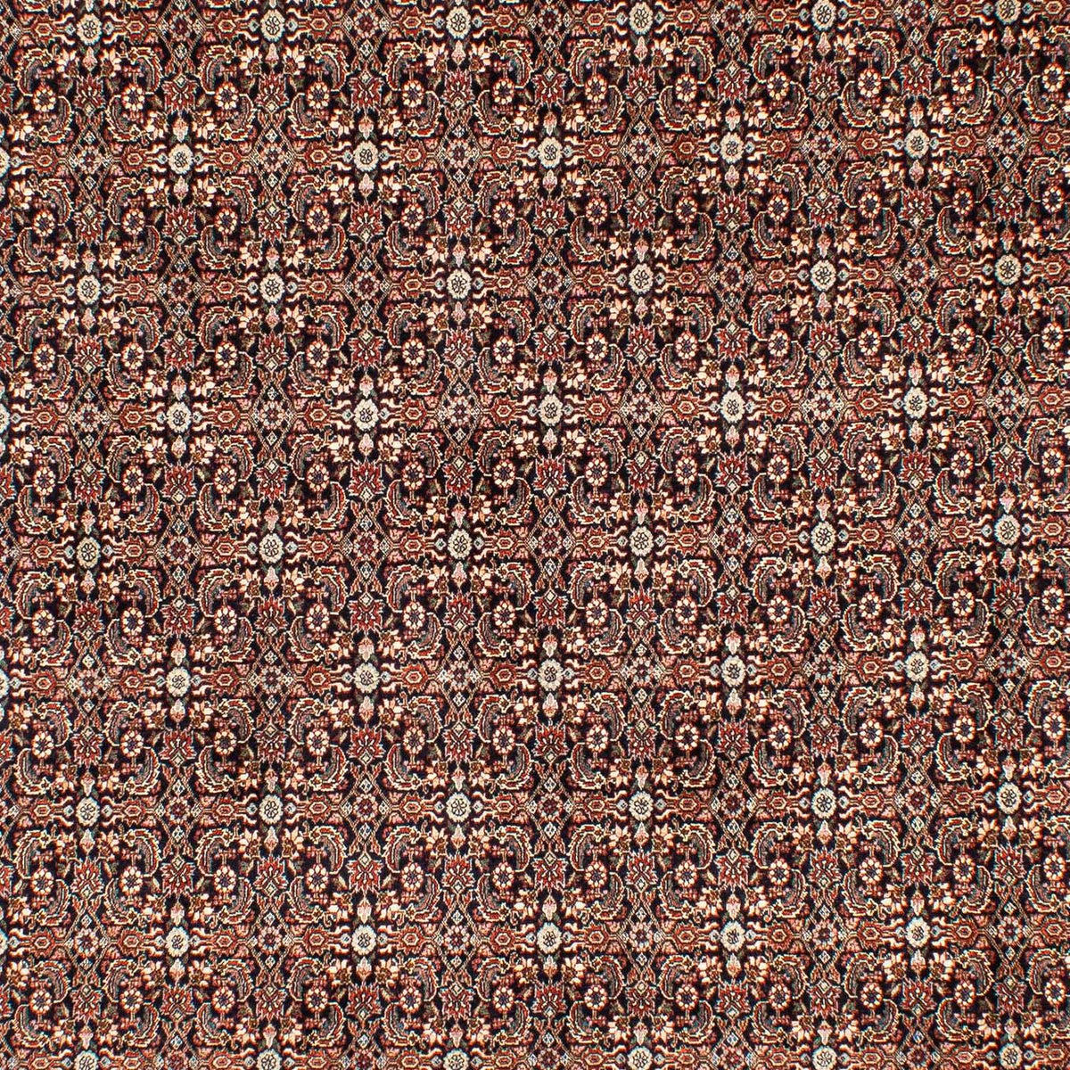 Alfombra persa - Bidjar - 300 x 204 cm - multicolor