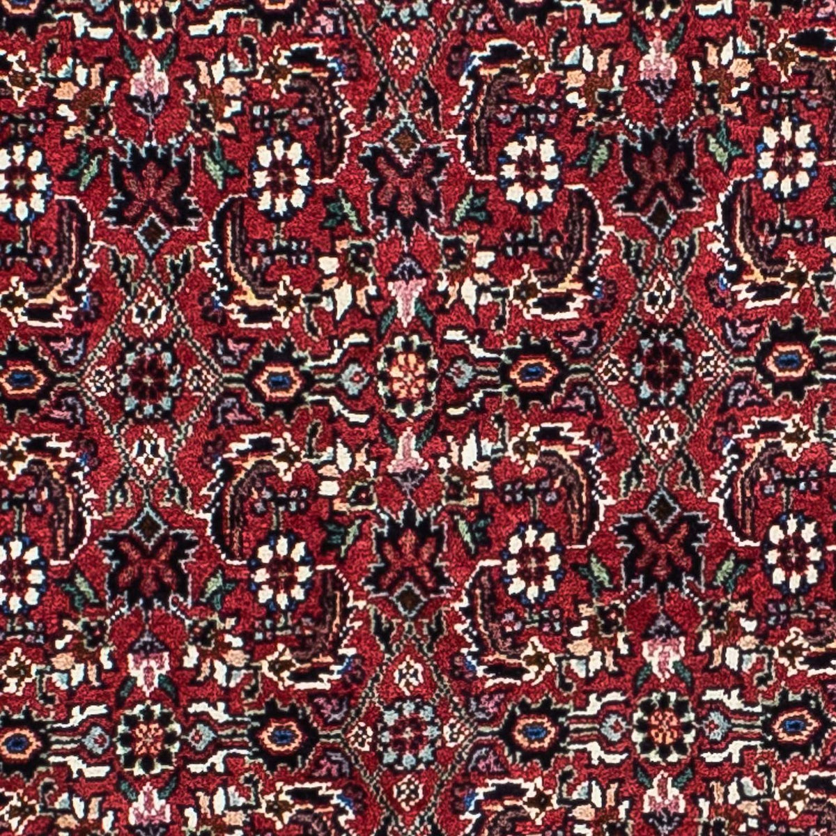 Alfombra persa - Bidjar - 208 x 134 cm - rojo oscuro