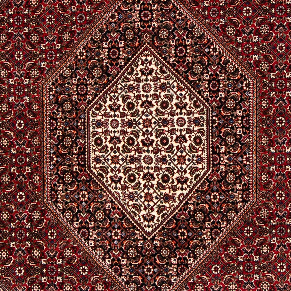 Alfombra persa - Bidjar - 238 x 165 cm - rojo oscuro