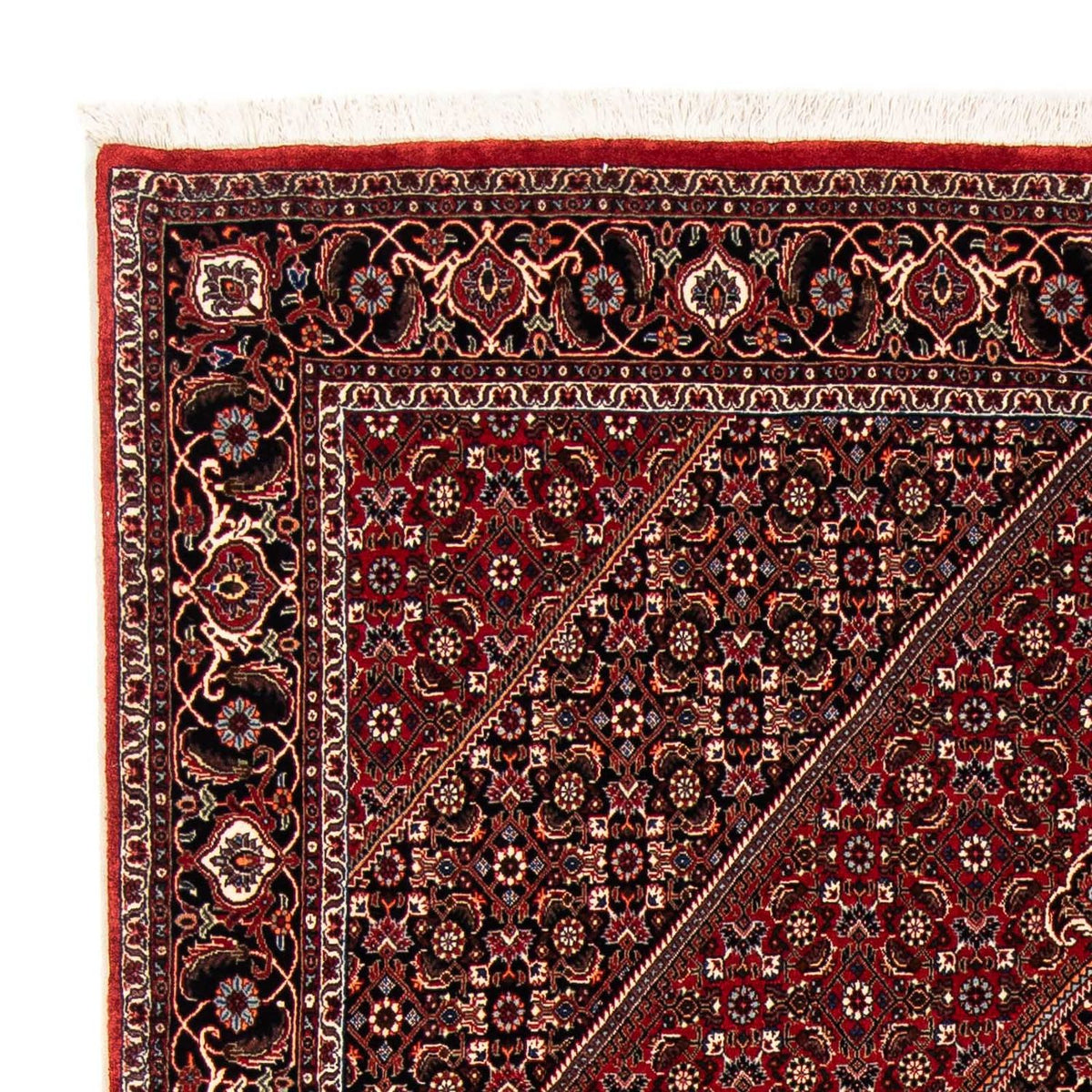 Alfombra persa - Bidjar - 238 x 165 cm - rojo oscuro