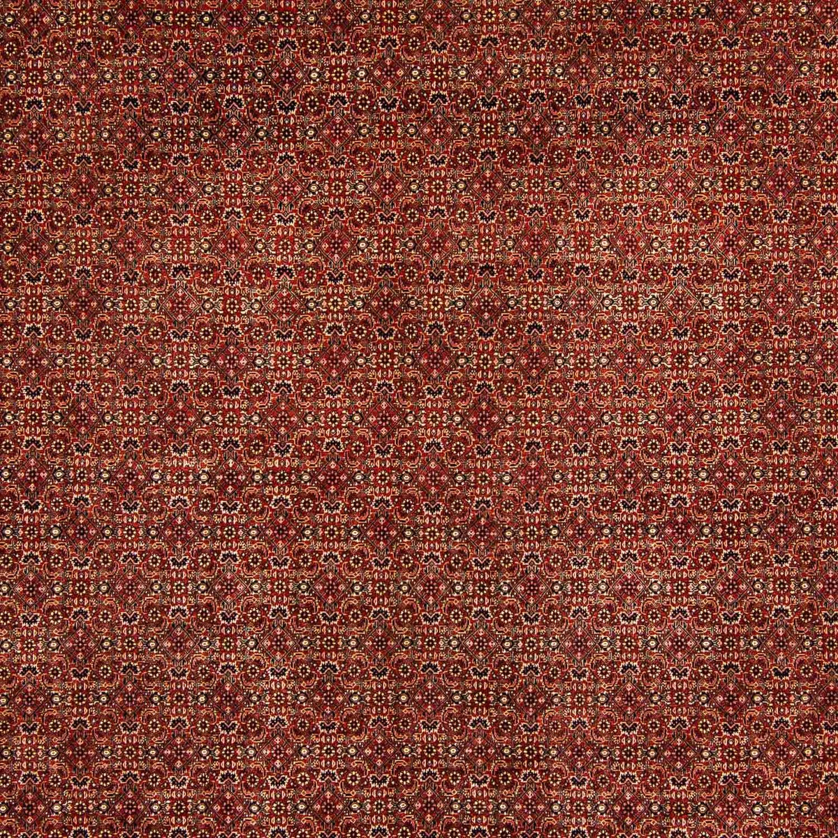 Alfombra persa - Bidjar - 384 x 300 cm - rojo oscuro