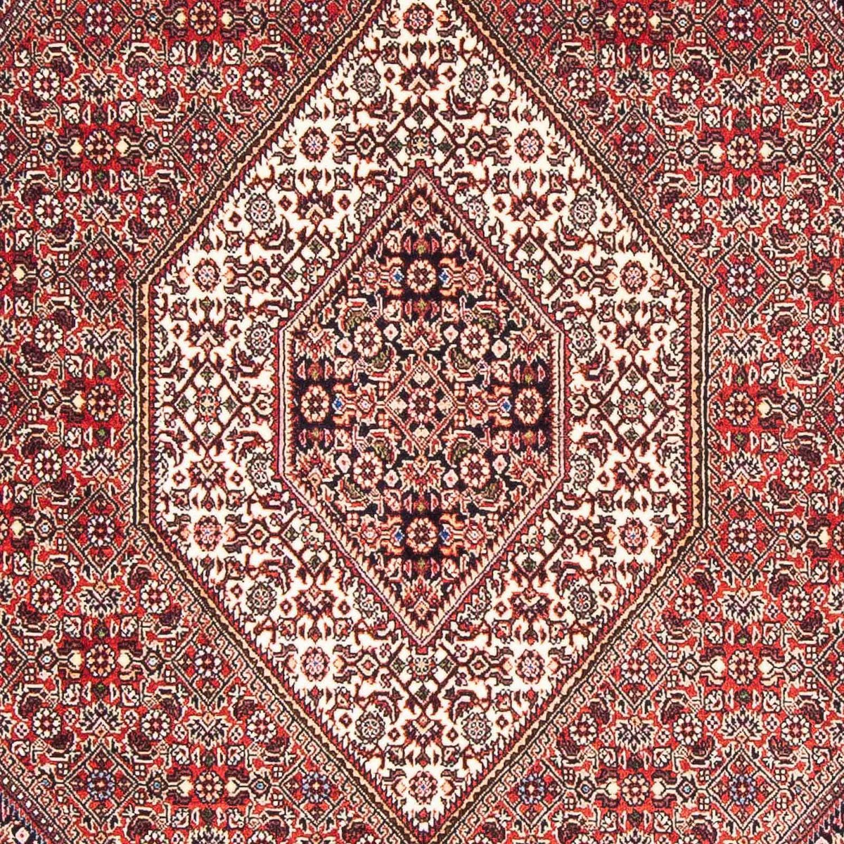 Alfombra persa - Bidjar - 176 x 110 cm - rojo claro