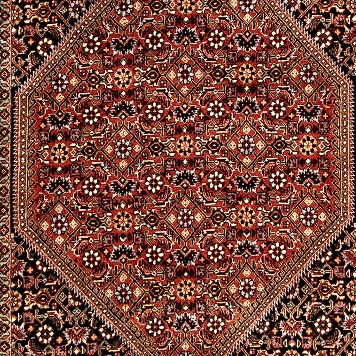Alfombra de pasillo Alfombra persa - Bidjar - 292 x 83 cm - multicolor