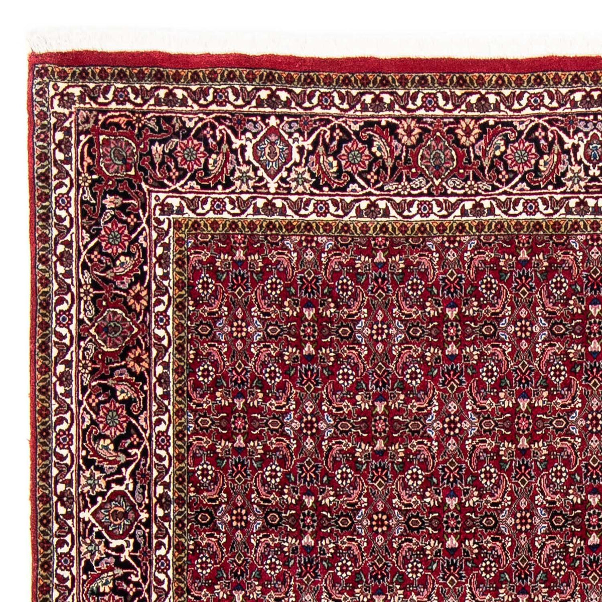 Alfombra persa - Bidjar - 245 x 174 cm - rojo