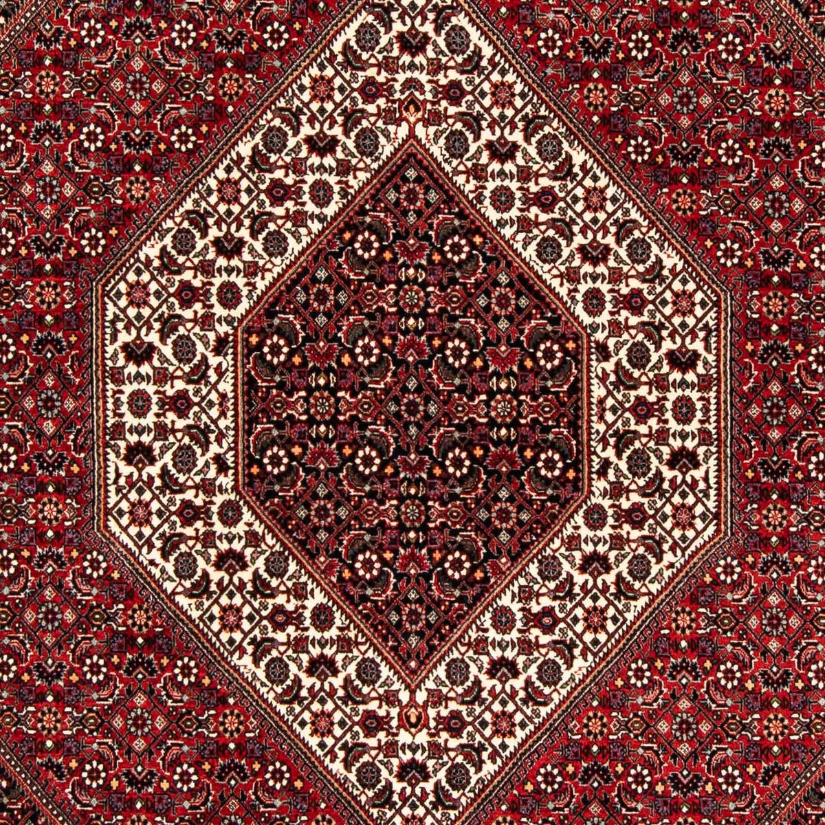 Alfombra persa - Bidjar - 240 x 172 cm - rojo oscuro