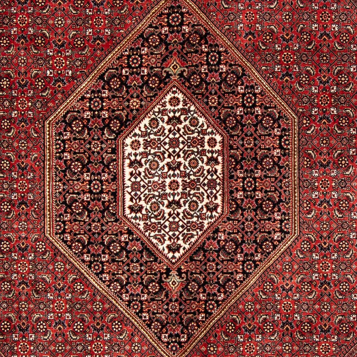 Alfombra persa - Bidjar - 240 x 171 cm - rojo oscuro