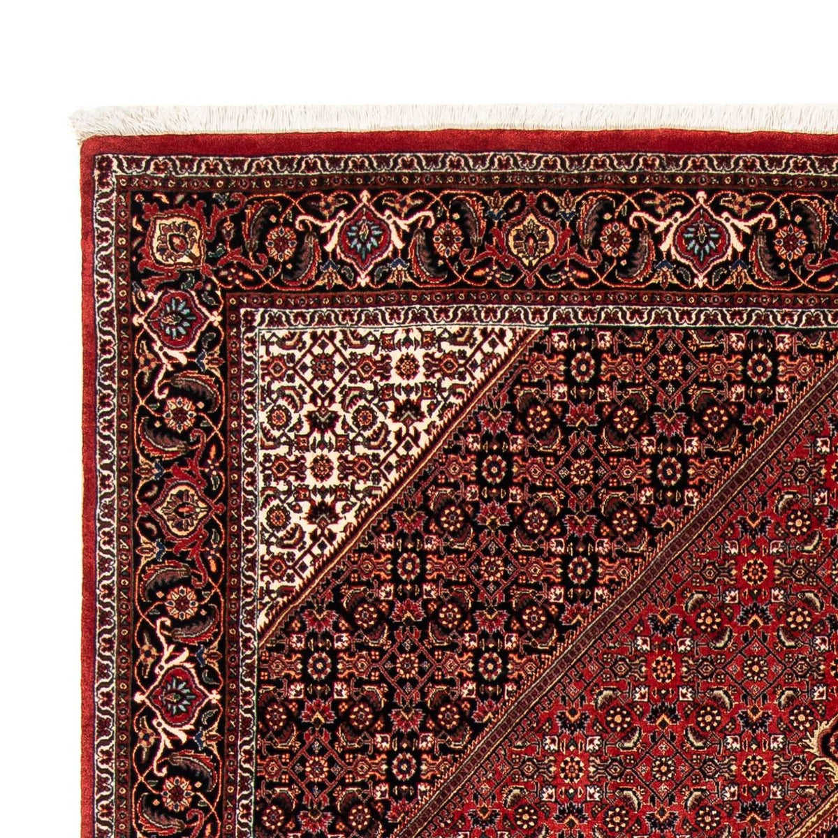Alfombra persa - Bidjar - 240 x 171 cm - rojo oscuro