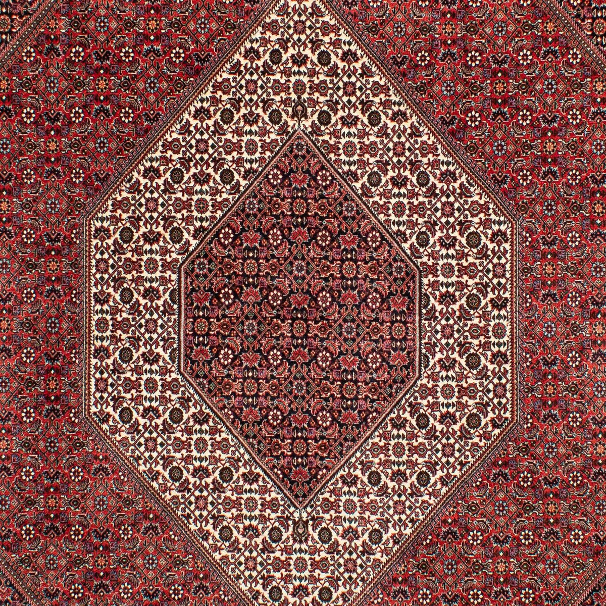 Alfombra persa - Bidjar - 305 x 203 cm - rojo oscuro