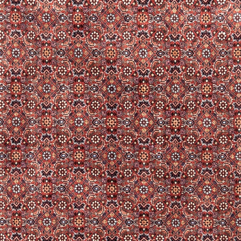 Alfombra persa - Bidjar - 306 x 204 cm - rojo