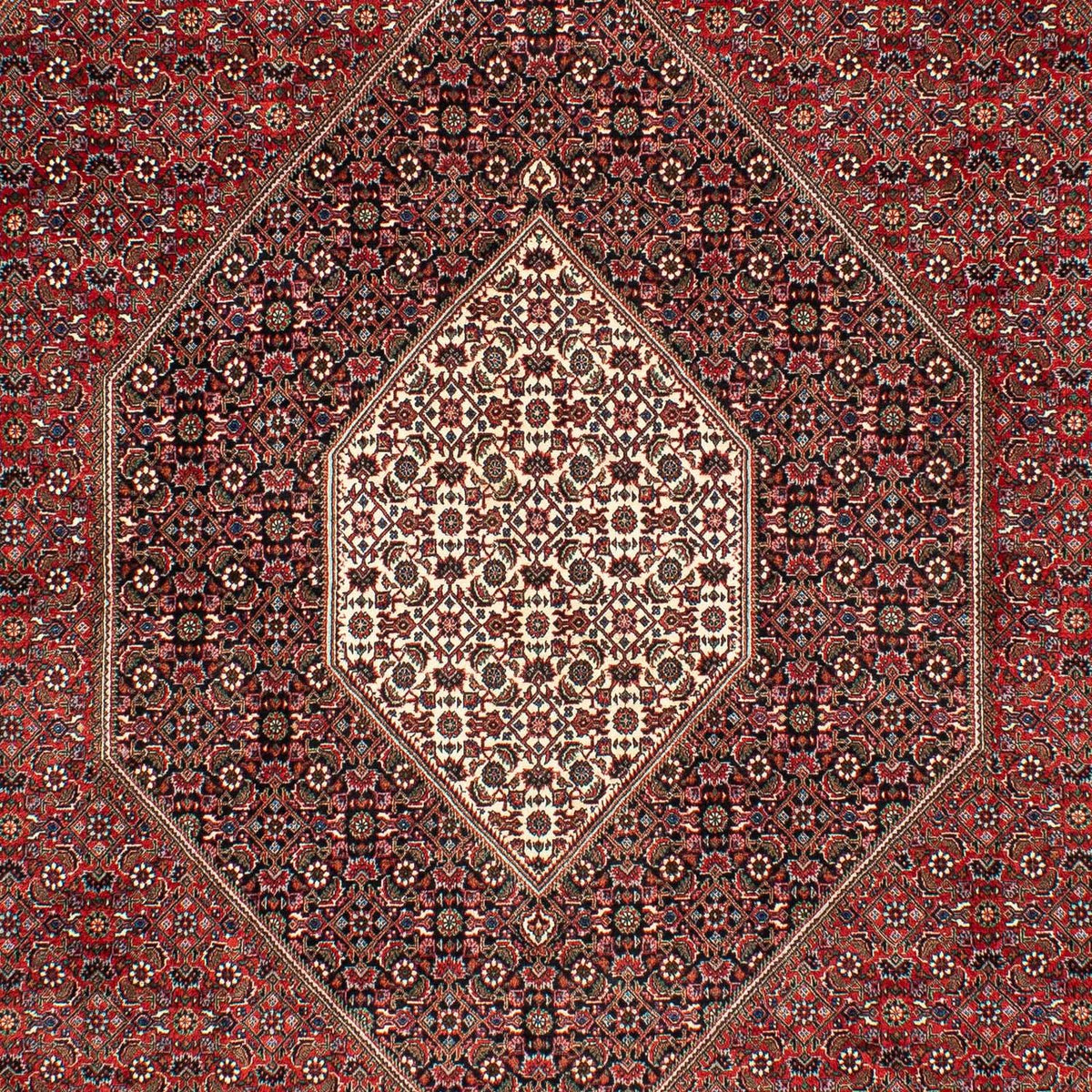 Alfombra persa - Bidjar - 309 x 208 cm - rojo oscuro
