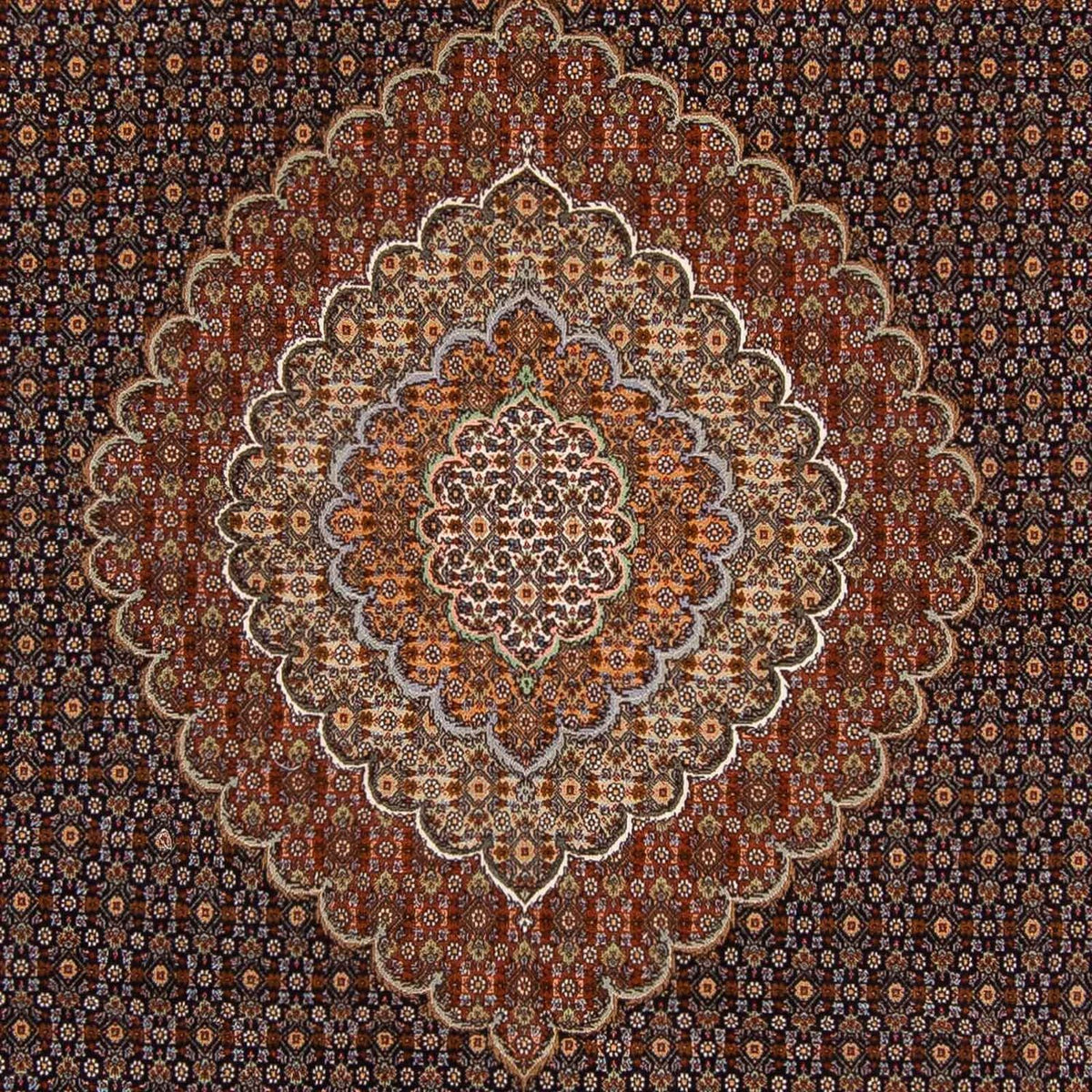 Alfombra persa - Tabriz - 360 x 253 cm - marrón oscuro