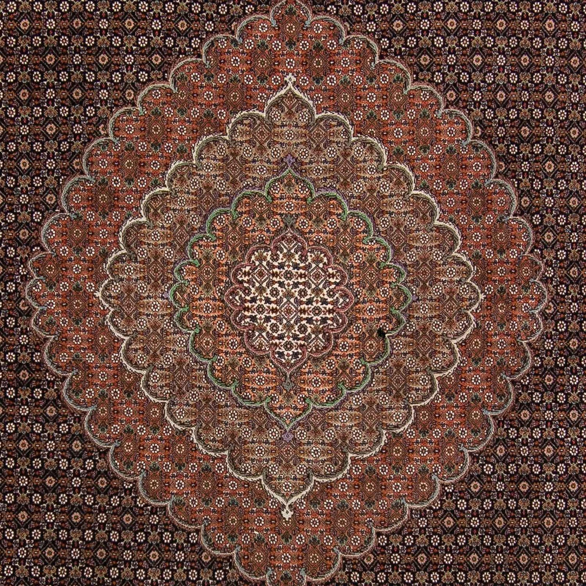 Alfombra persa - Tabriz - 370 x 256 cm - marrón