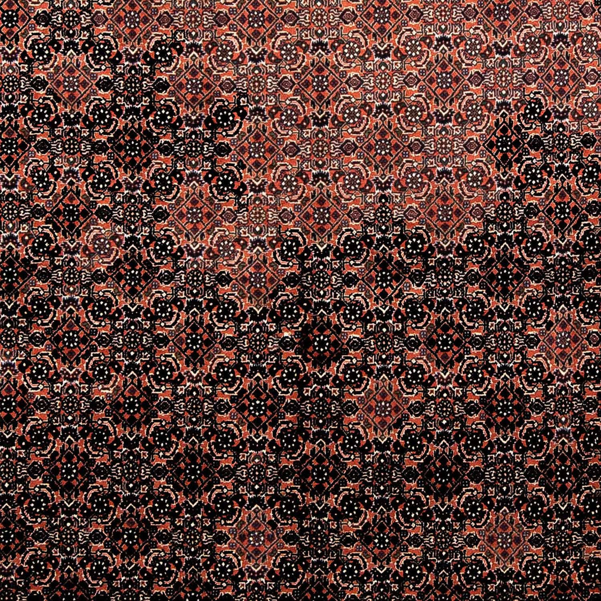 Alfombra persa - Bidjar - 250 x 173 cm - rojo claro