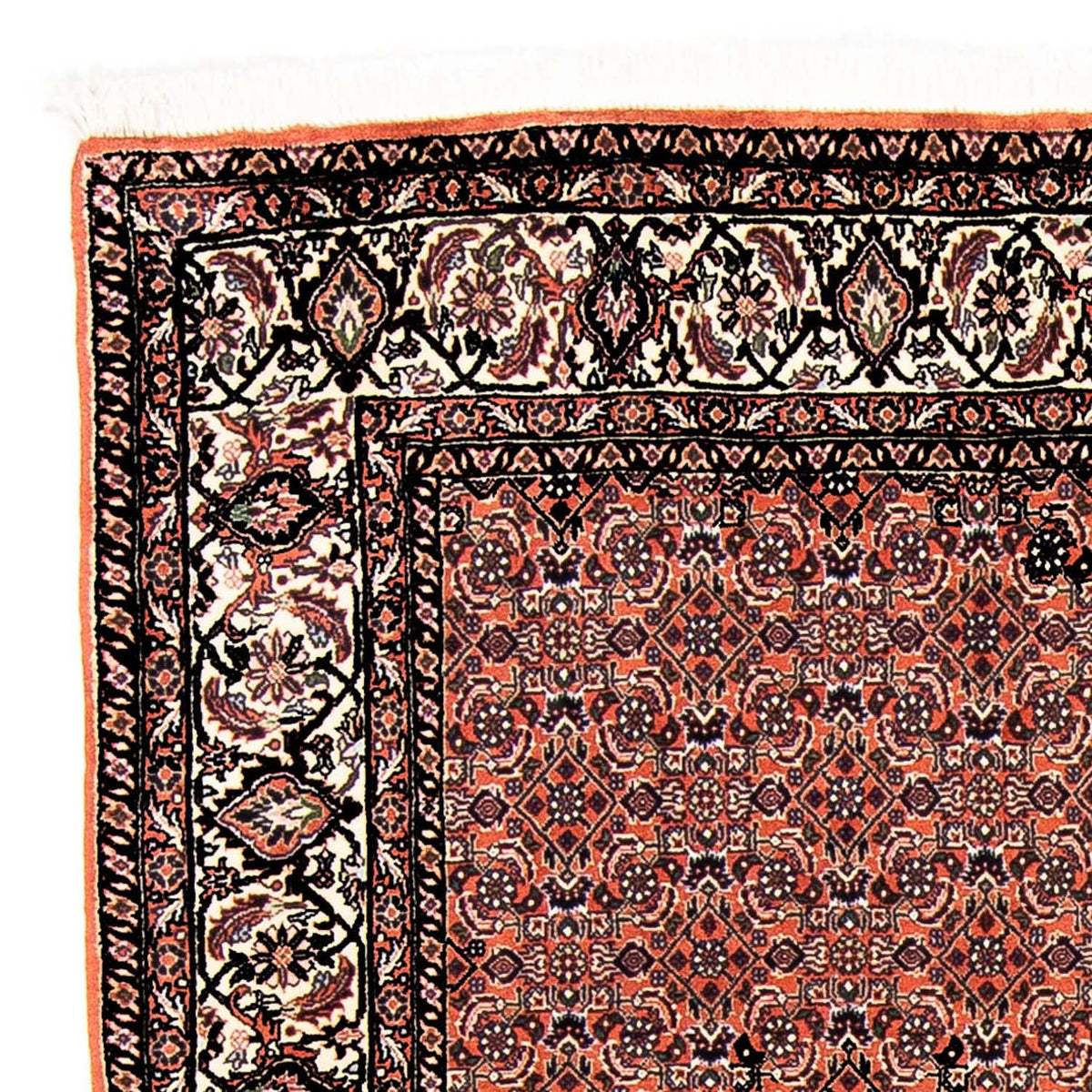 Alfombra persa - Bidjar - 250 x 173 cm - rojo claro