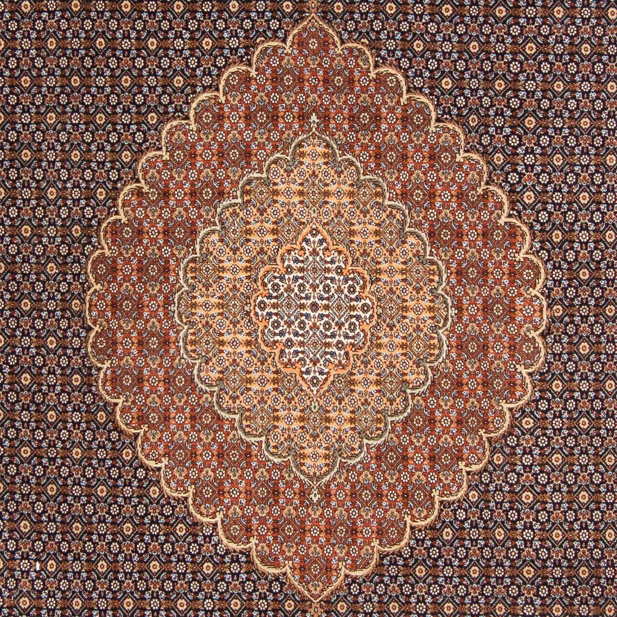 Alfombra persa - Tabriz - 297 x 205 cm - azul oscuro