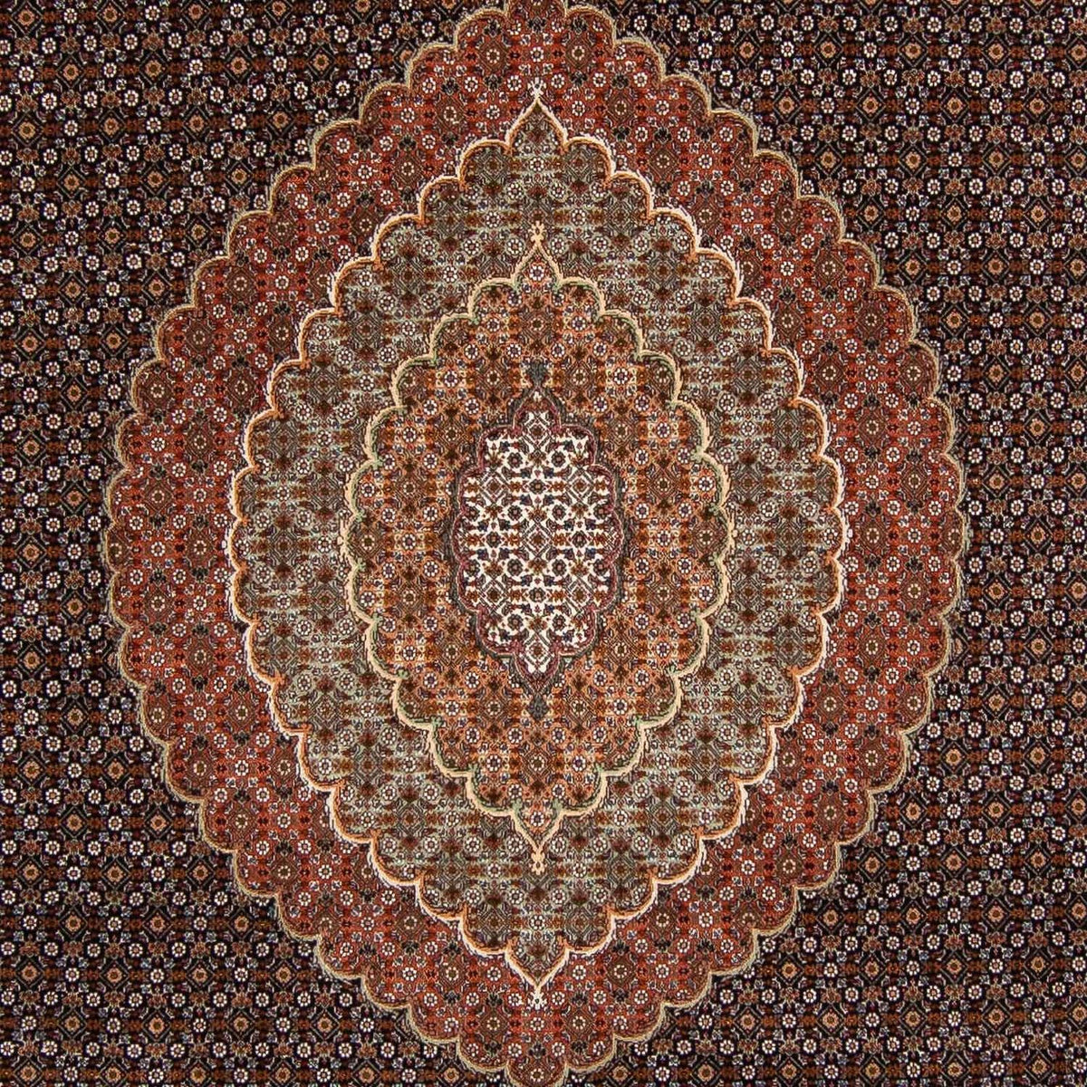 Alfombra persa - Tabriz - 345 x 252 cm - marrón