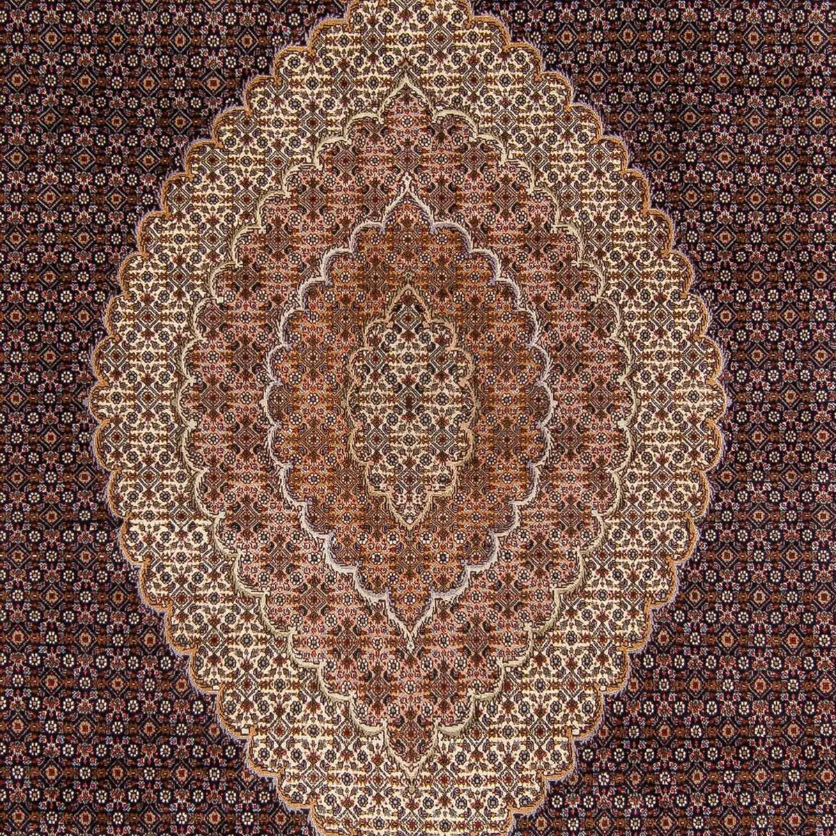 Alfombra persa - Tabriz - 336 x 250 cm - marrón