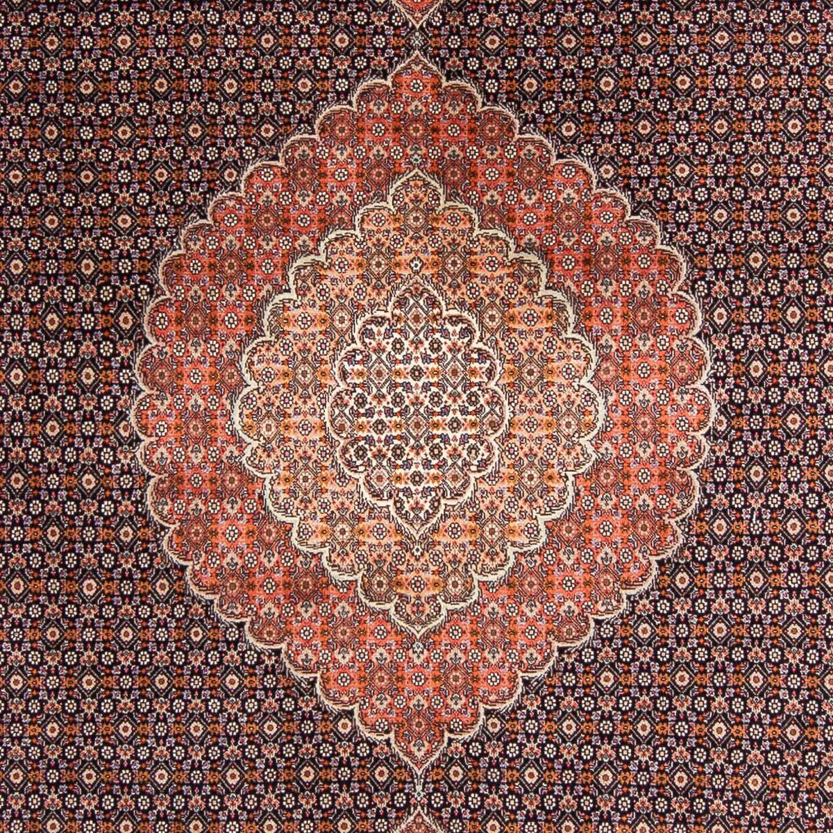 Alfombra persa - Tabriz - 295 x 203 cm - azul oscuro
