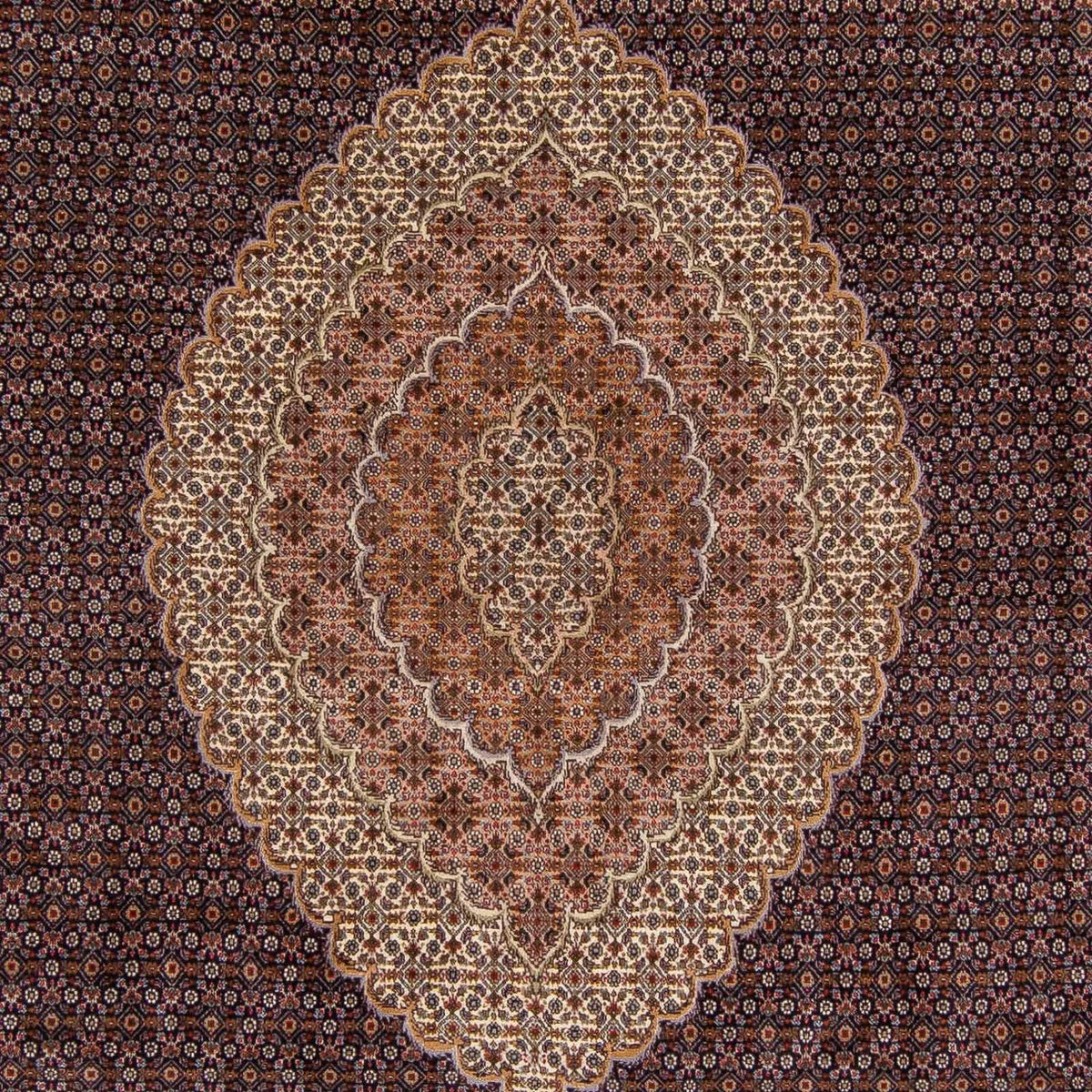 Alfombra persa - Tabriz - 338 x 248 cm - marrón claro