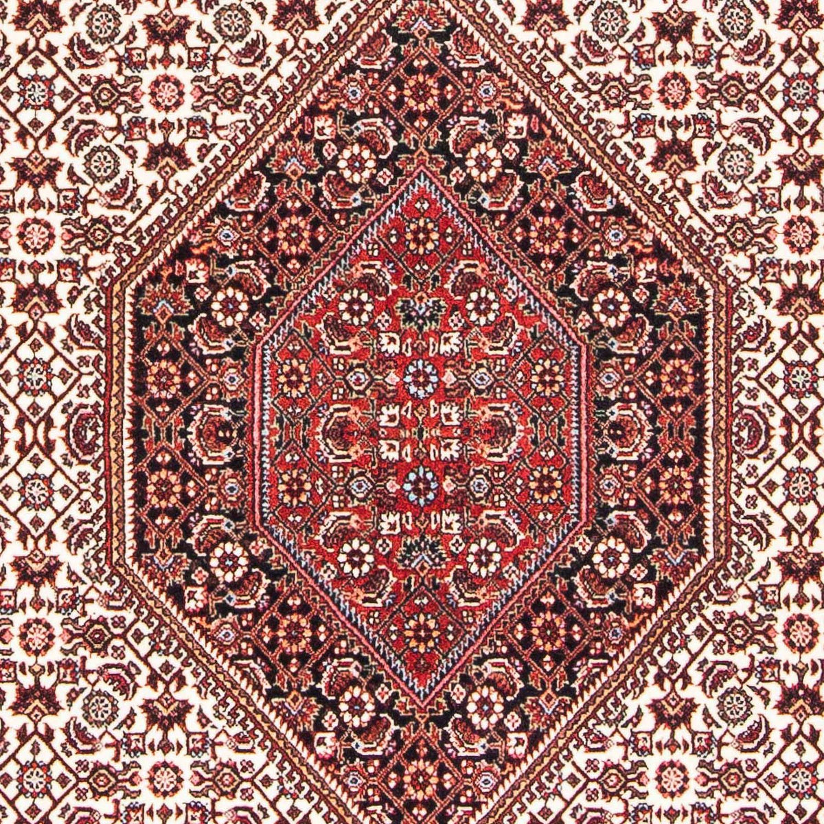 Alfombra persa - Bidjar - 170 x 112 cm - beige