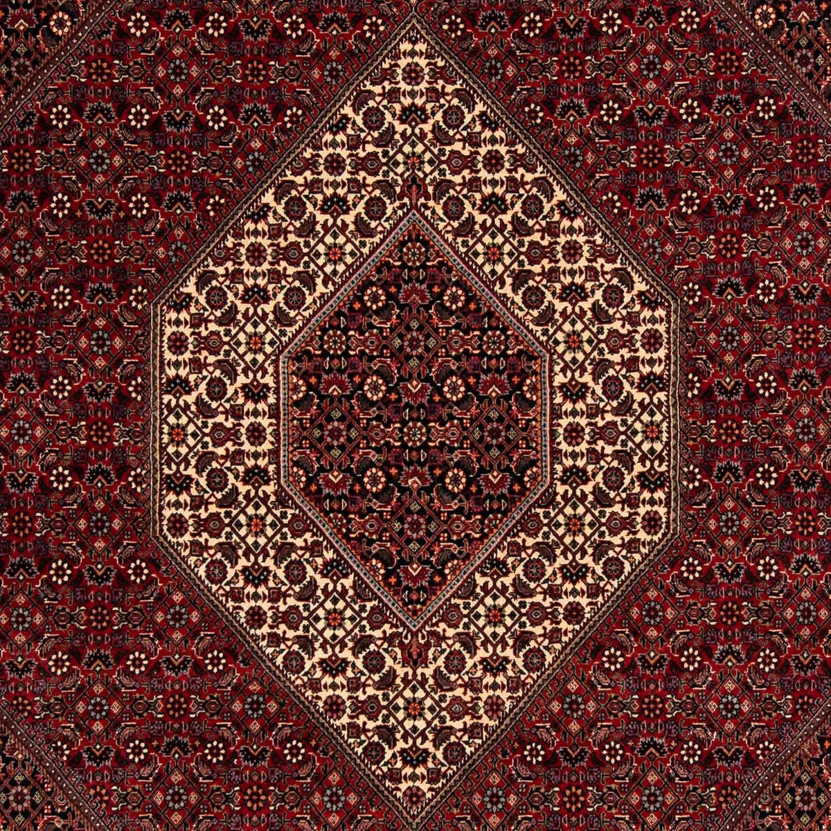 Alfombra persa - Bidjar - 247 x 202 cm - rojo oscuro