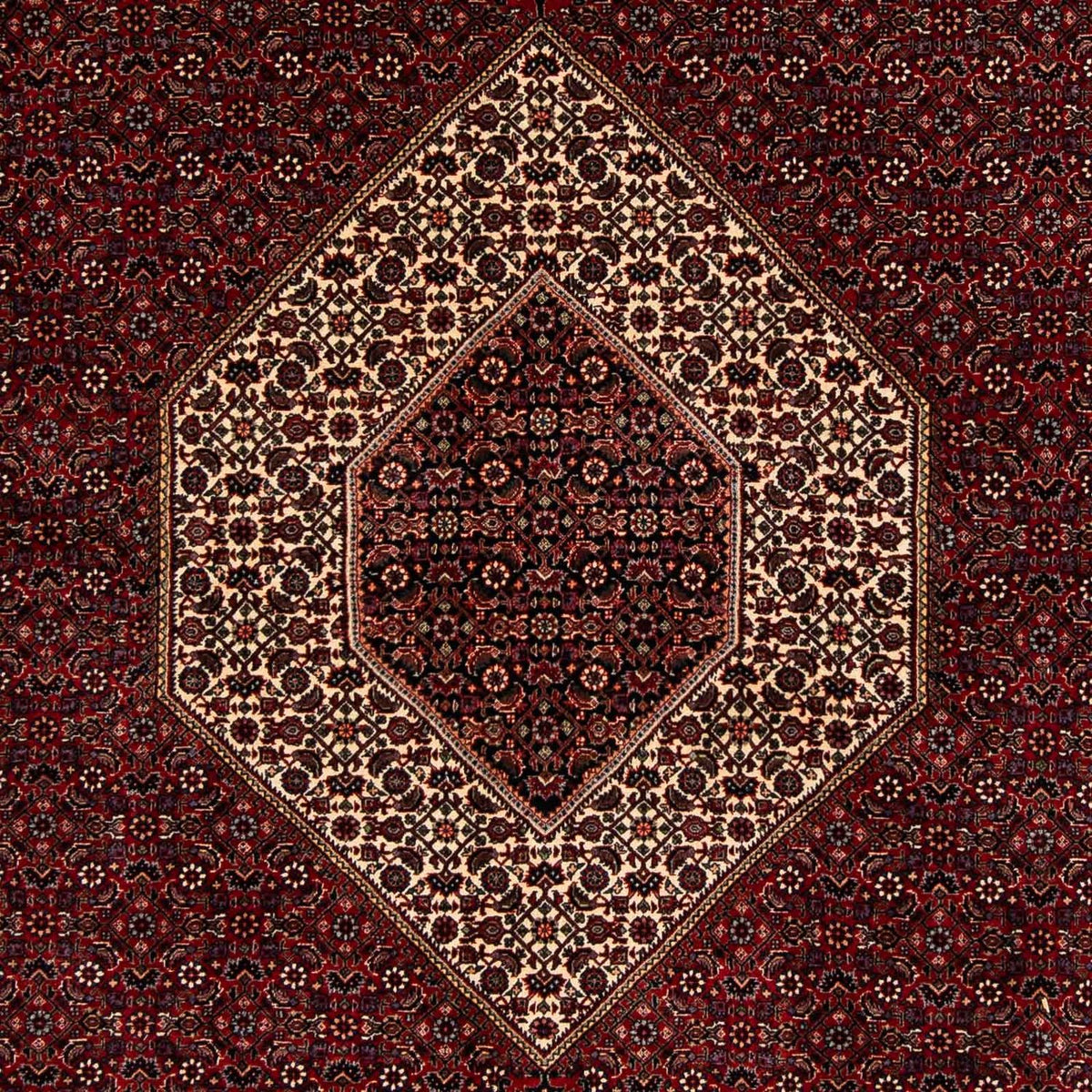 Alfombra persa - Bidjar - 257 x 204 cm - rojo oscuro