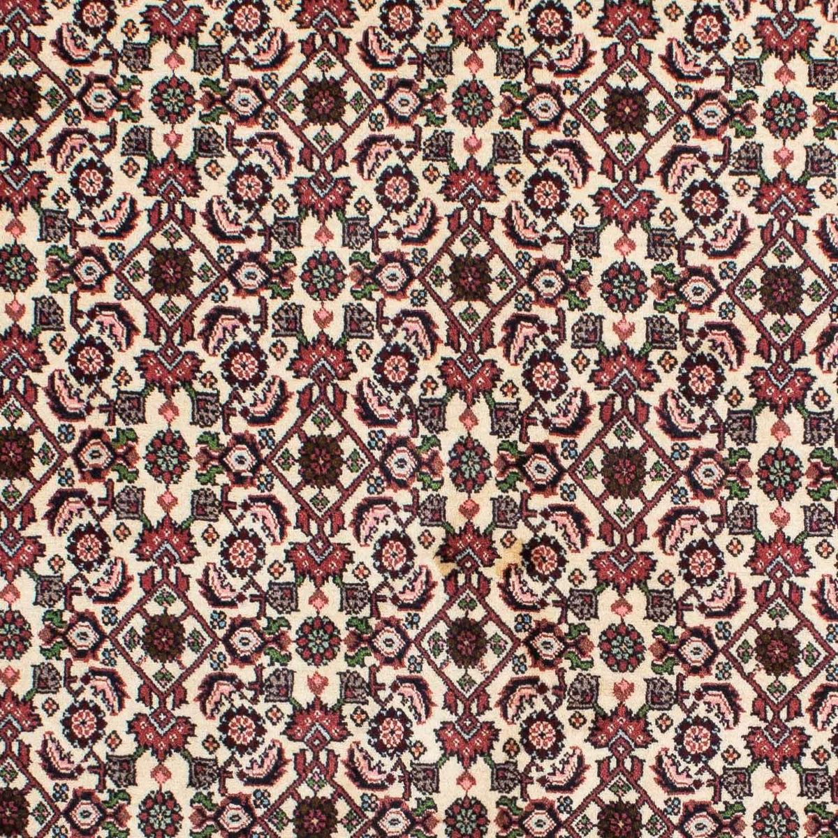 Alfombra persa - Bidjar - 215 x 142 cm - beige