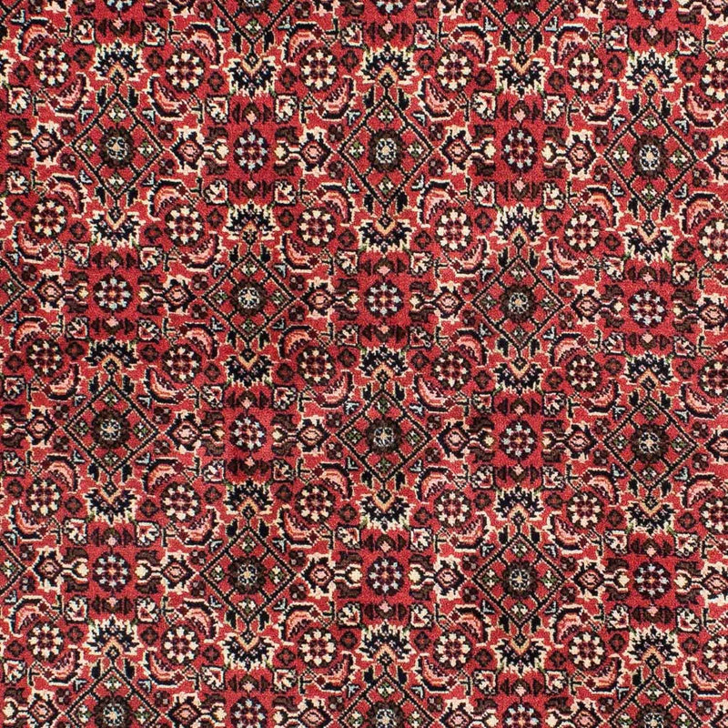 Alfombra persa - Bidjar - 208 x 139 cm - rojo