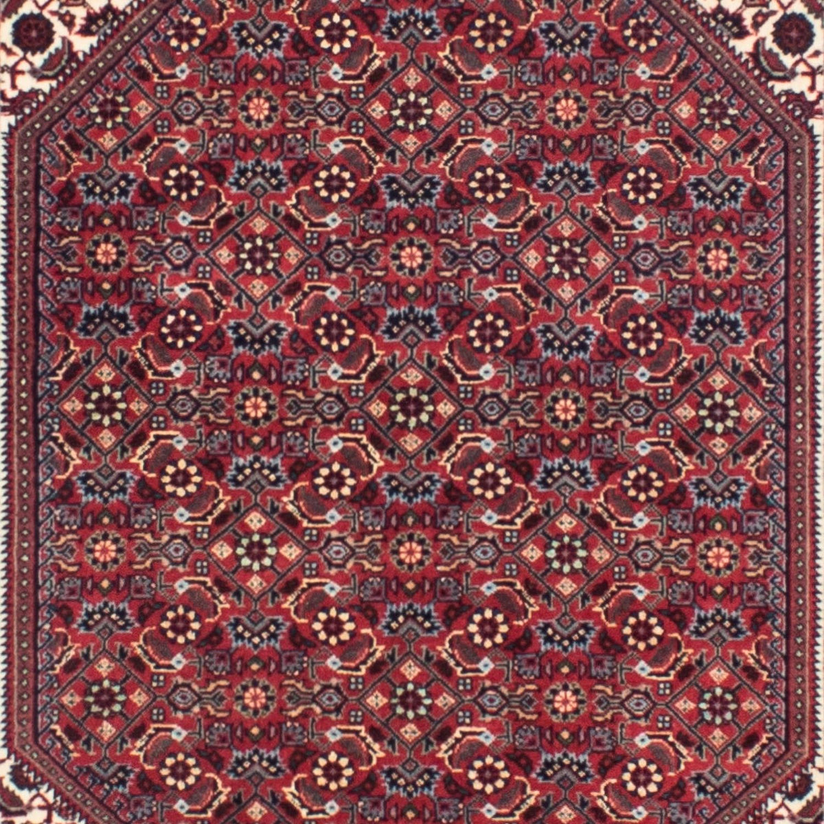 Alfombra de pasillo Alfombra persa - Bidjar - 313 x 83 cm - rojo oscuro