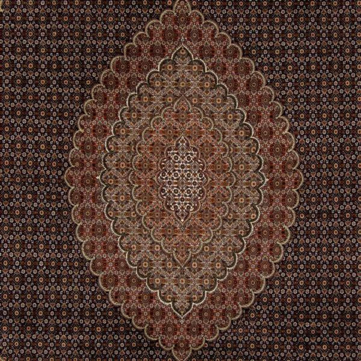 Alfombra persa - Tabriz - 346 x 252 cm - marrón