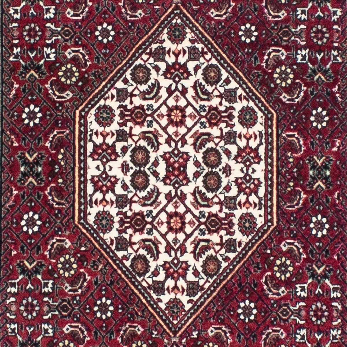 Alfombra de pasillo Alfombra persa - Bidjar - 248 x 73 cm - rojo oscuro