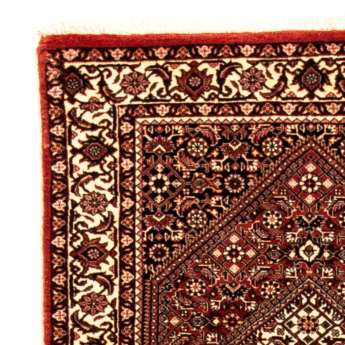 Alfombra de pasillo Alfombra persa - Bidjar - 307 x 73 cm - multicolor