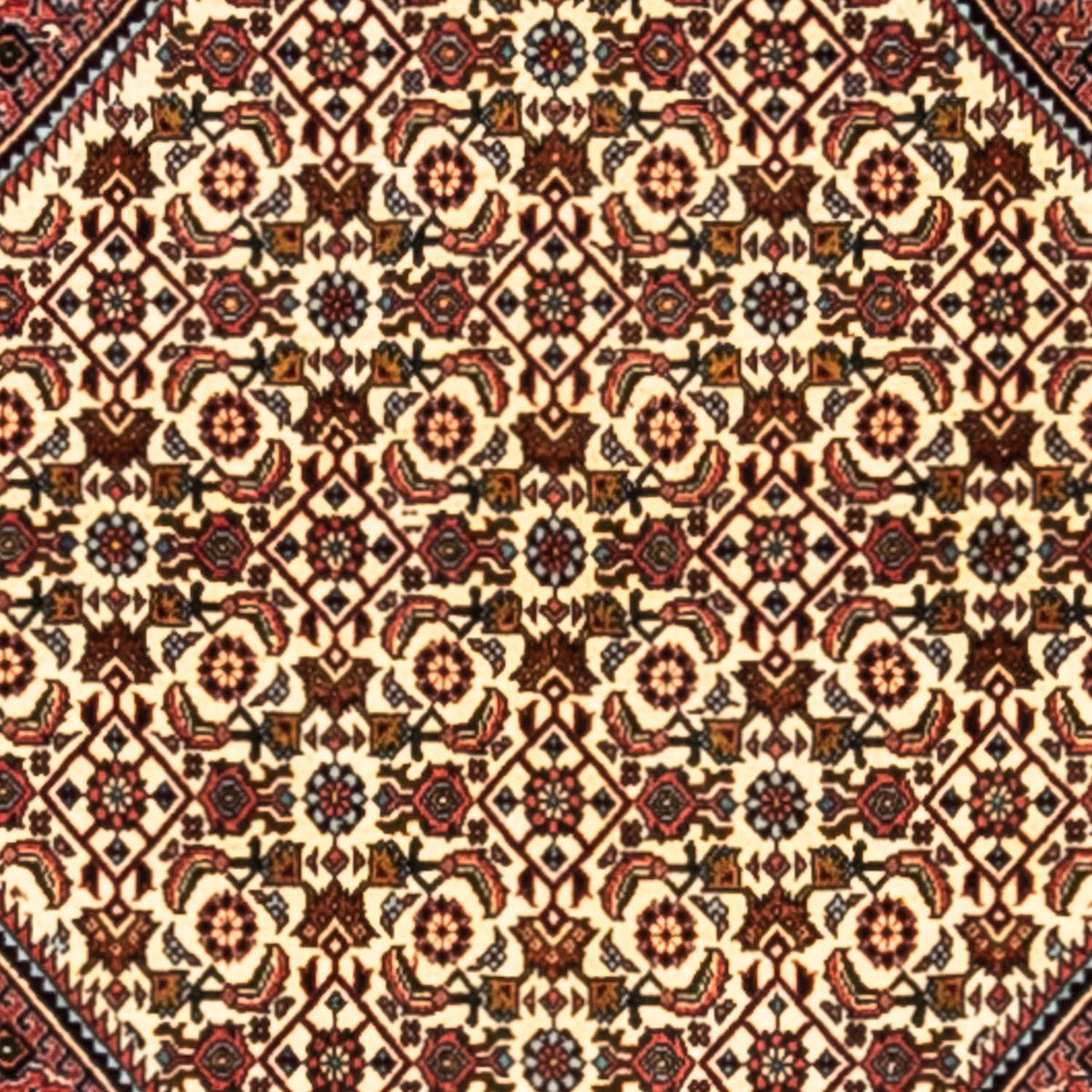 Alfombra persa - Bidjar - 291 x 200 cm - rojo