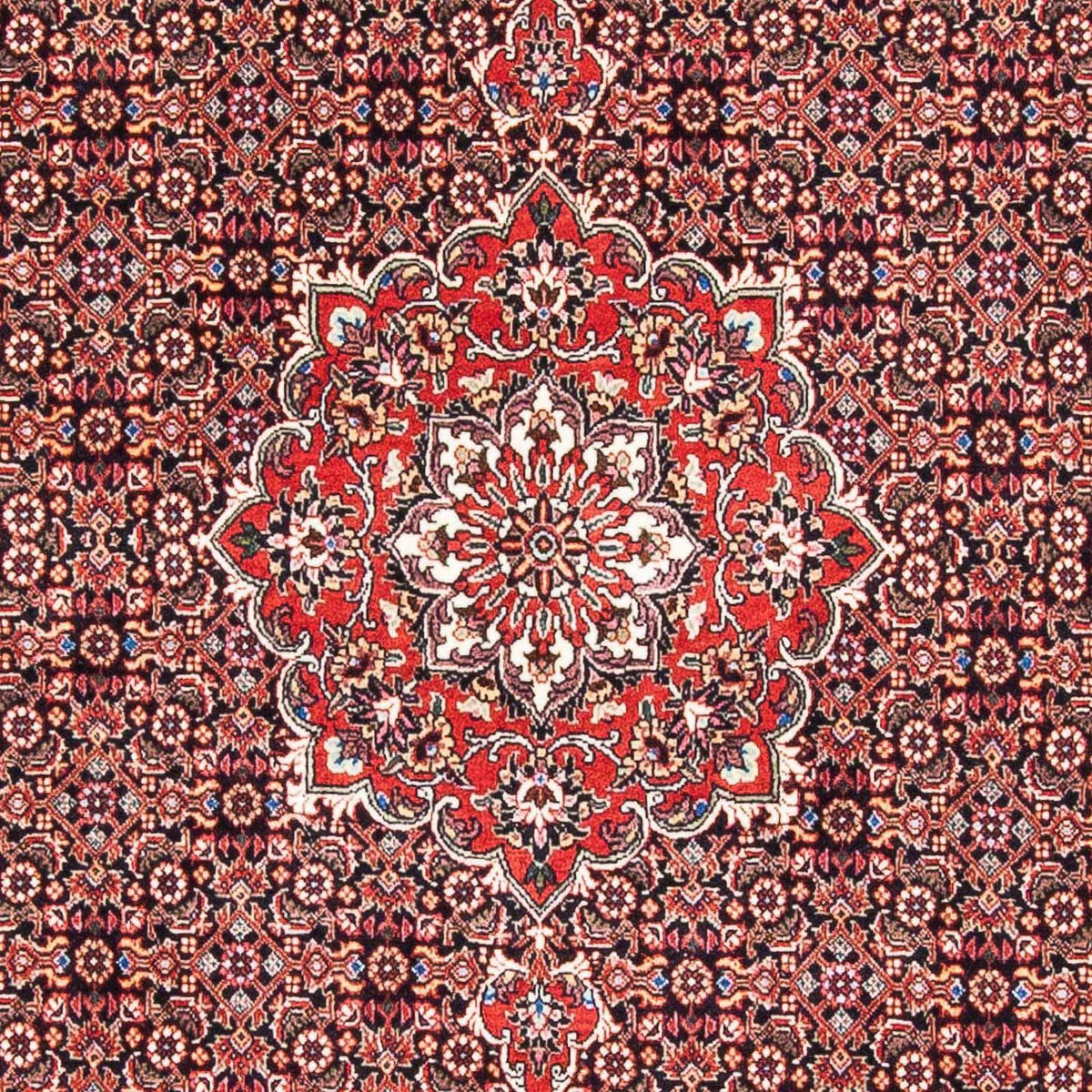 Alfombra persa - Bidjar - 170 x 109 cm - rojo