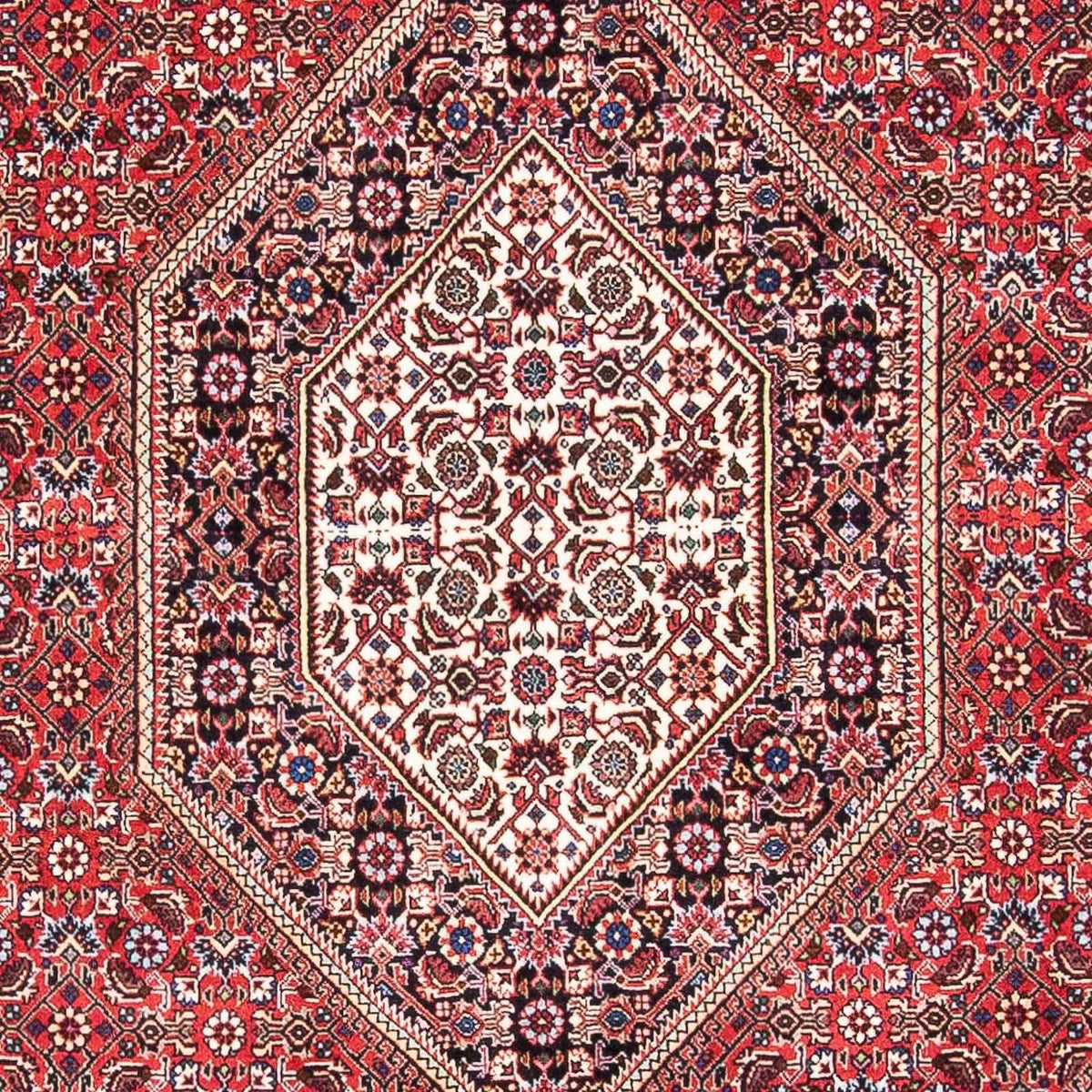Alfombra persa - Bidjar - 175 x 110 cm - rojo