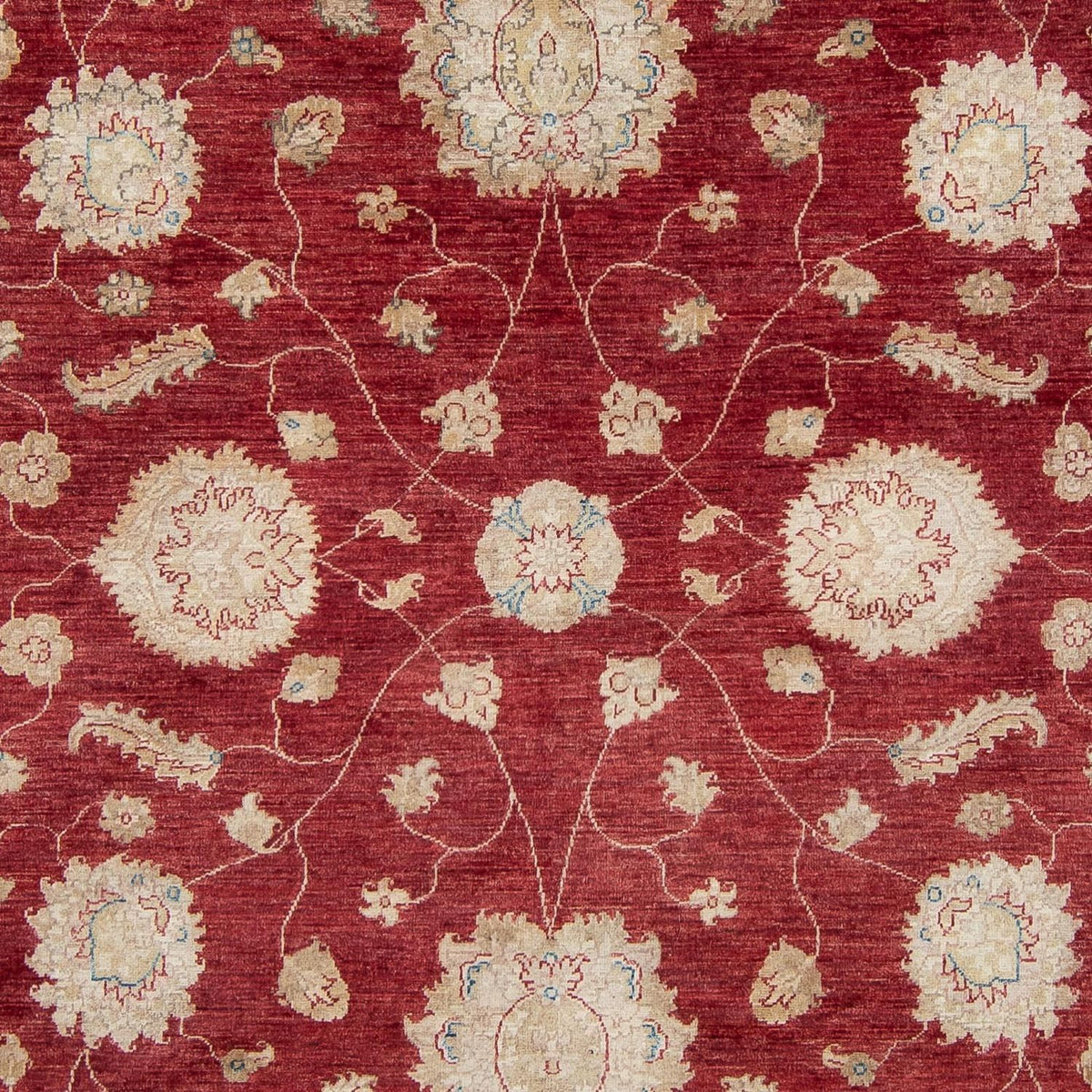 Alfombra Ziegler - 300 x 238 cm - rojo