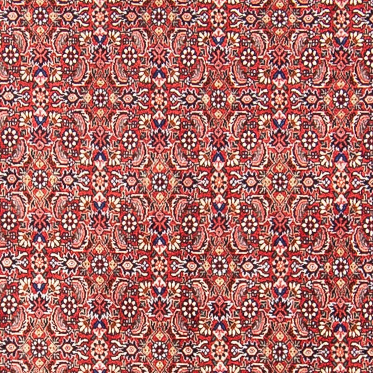 Alfombra persa - Bidjar - 307 x 248 cm - rojo claro