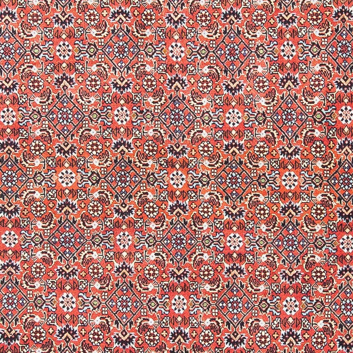 Alfombra persa - Bidjar - 137 x 96 cm - rojo oscuro