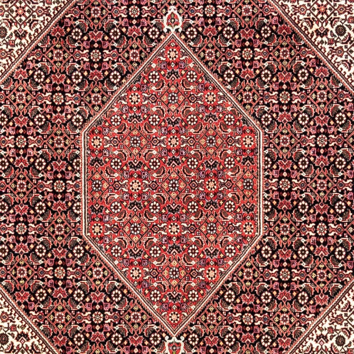 Alfombra persa - Bidjar - 349 x 252 cm - rojo
